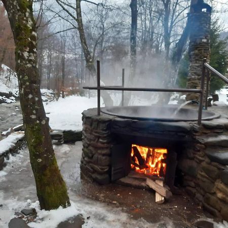 룸쇼리 Хатина Біля Потока 빌라 외부 사진