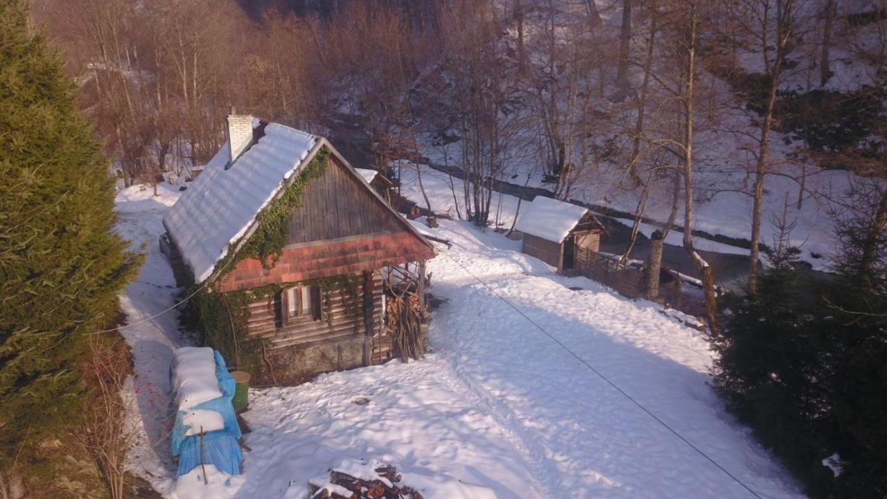 룸쇼리 Хатина Біля Потока 빌라 외부 사진