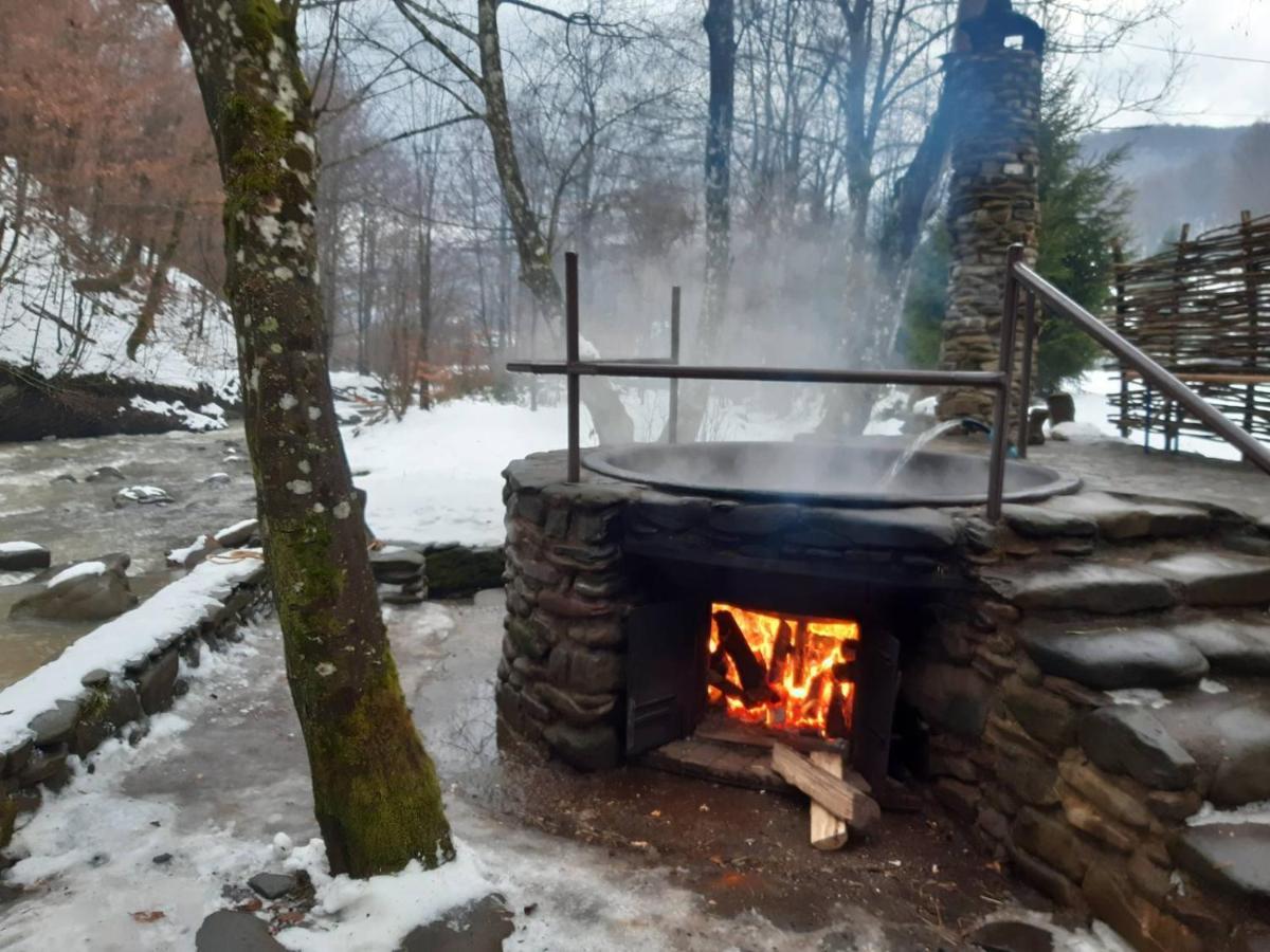 룸쇼리 Хатина Біля Потока 빌라 외부 사진