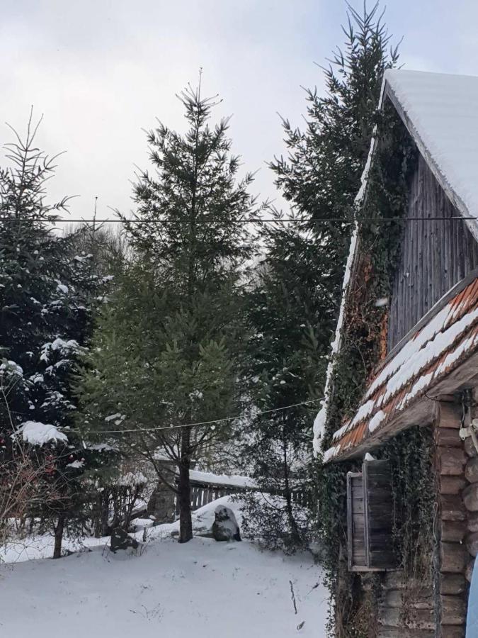 룸쇼리 Хатина Біля Потока 빌라 외부 사진
