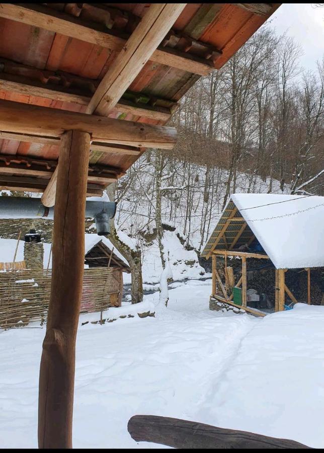 룸쇼리 Хатина Біля Потока 빌라 외부 사진